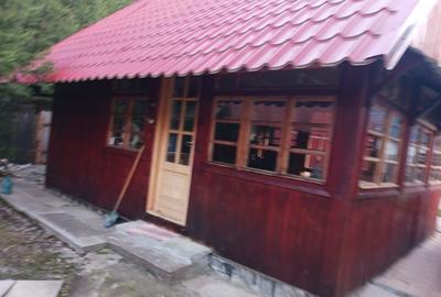 CASA DE VACANTA LA DOMENIUL SCHIABIL SUREANU LUNCILE PRIGOANEI - 4