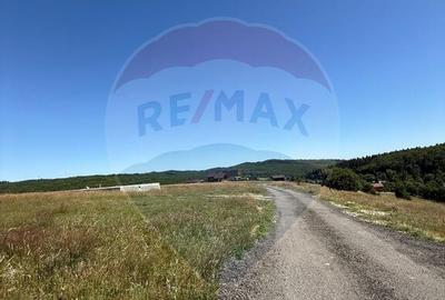 Teren 3,757mp Paltinoasa / Strada principala - 6