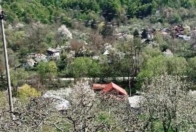 Casă individuală cu 2 camere cu Teren 2800 Mp în Boțești - 4
