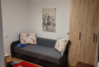 Garsoniera la curte - 2