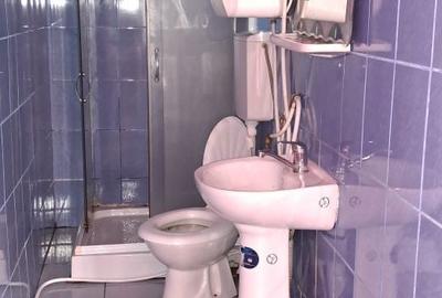 Casă cu 2 camere în Subcetate - 3