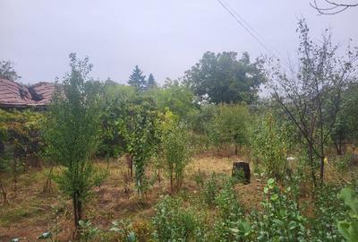 Teren 1055 mp,situat la 5 minute de Parc Comana,intre case - 5