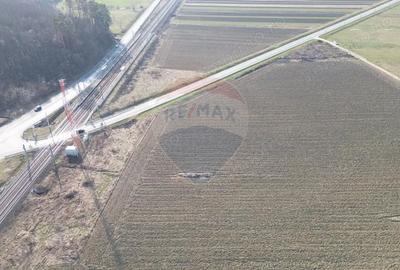 Teren de 19319 mp, în Hoghilag - 11