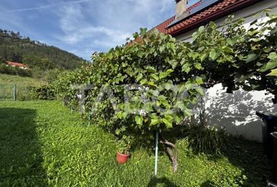 Casă cu 3 camere cu Teren 3300 Mp în Șeica Mare - 1