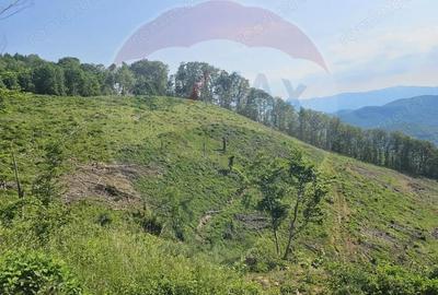 Teren de 210000 mp, în Pleșcuța - 1