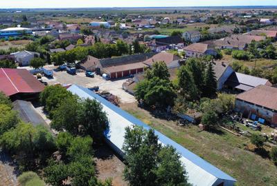 Cenad-Casa/Spatii Birouri- 150mp-teren 1065mp - 6