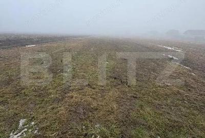 Teren de 2500 mp, în Central - 5