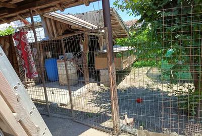 Vind casa cu teren - 4