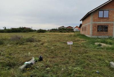 Teren de 1200 mp, în Frumușeni - 3
