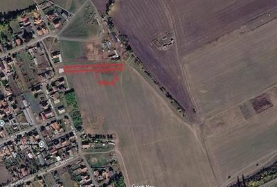 Teren de 1000 mp, în Sânmihaiu Român