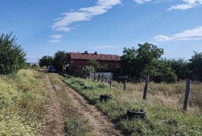 Casă cu Teren 5000 Mp în Central