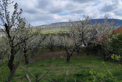 Teren de 1150 mp, în Bârnova