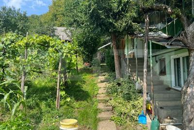 Casa Str. Negoiului, 2.249 mp teren, zona linistita, vedere panoramica - 4