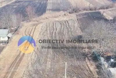 Teren de 10515 mp, în Bodești - 8