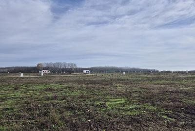 Loturi de teren 638 mp - curent tras la teren - Crevedia - 3