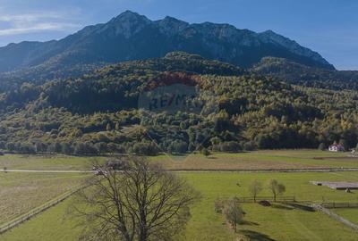 Teren 3.997 mp, priveliste superba Plaiul Foii, 0% comision - 3