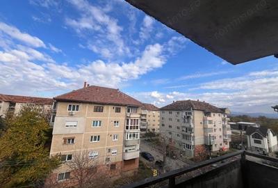 Lugoj, Ap., 4 Cam. 119 Mp Construiti. Zona Stadion, POTENTIAL URIAS - 6