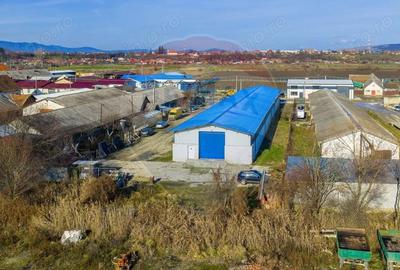 De inchiriat spa?iu pentru depozitare 300mp + curte 650mp Feldioara - 3