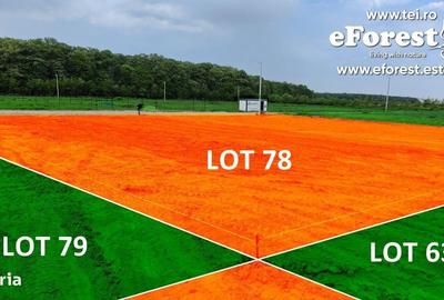 Spațiu comercial, în Crevedia - 6