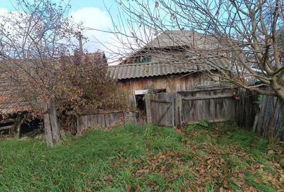 Casă cu 3 camere cu Teren 3000 Mp în Mlenăuți - 3