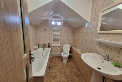 Vila 5 camere/spatiu depozitare + 2 bai de inchiriat Dobroiesti - 7