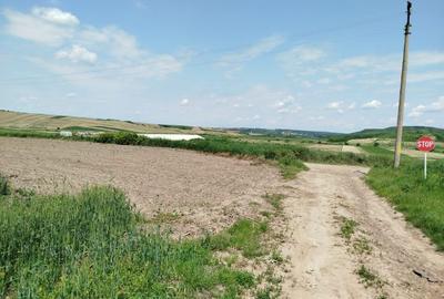 Teren agricol extravilan de 8000 mp, în Oneaga - 3