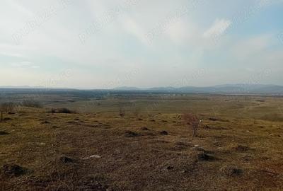 Teren - 7.132 mp zona deosebita , str Alexandru cel Bun - 2