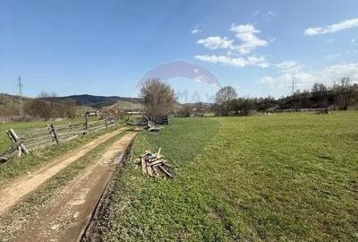 Teren de 9202 mp, în Mănăstirea Humorului - 6