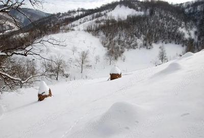 Casă cu 4 camere cu Teren 1170 Mp în Poiana Stampei - 5