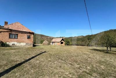 Teren de 14000 mp, în Vințu de Jos - 10