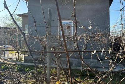 Casă cu 3 camere cu Teren 1792 Mp în Cioroboreni - 3