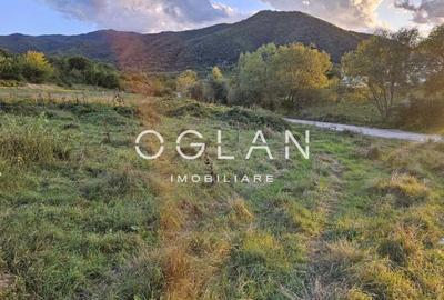 Teren cu PUZ si utilitati, Cisnadie, COMISION 0% Teren cu PUZ si utilitati, Cisnadie, COMISION 0% - 4