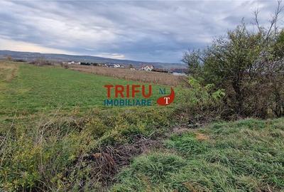 Teren 2160mp în  Partoș - 8