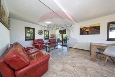 Vila 5 camere, in mijlocul naturii,  curte+ terasa,  Sanpetru! - 5