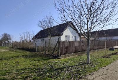 Casă cu Teren 1667 Mp în Alioș - 7