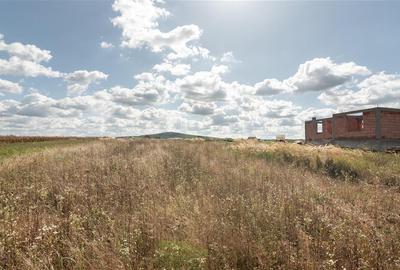 Teren intravilan in Rontau Teren intravilan in Rontau - 5