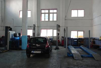 Hala 480mp, zona Complexul Studentesc - 8