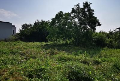 Teren de vanzare Drumul Cavnic 35 straulesti pret mp 350 - 4