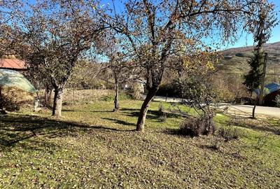 Teren 4044mp, 18 km de Campina, asfalt, utilitati, pretabil investitie - 2