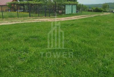 Teren de vinzare in Tropini Vechi - 5