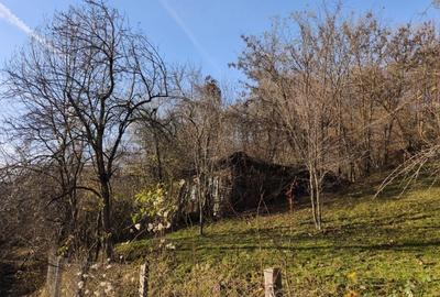 Teren intravilan Breaza 4,000mp cu  utilitati. Panorama superba. Intimitate. - 1