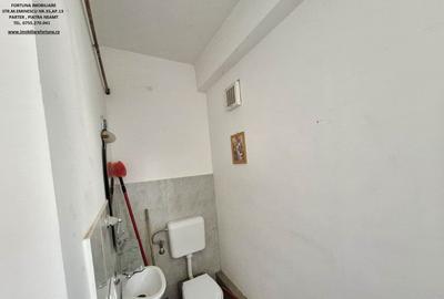 Proprietate in com.D-va Rosie,pretabila pentru activitati economice/locuit - 7