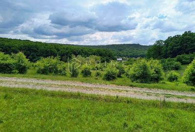 Teren Construcții intravilan de 11600 mp, în Corunca - 1