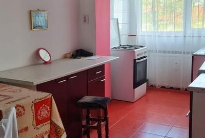 Apartament cu 3 camere decomandat în George Enescu - 6