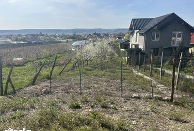 Teren de 800 mp, în Central - 1