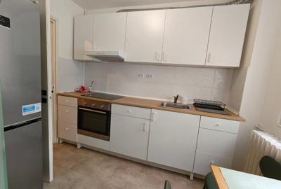 Dristor -str Odobesti - langa PARC IOR - 6