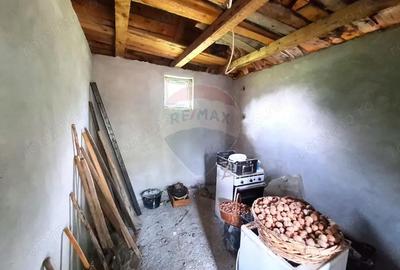 Casă cu 2 camere cu Teren 5361 Mp în Homești - 2