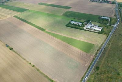 Teren extravilan 12.000 mp DN79 Arad-Oradea - 9