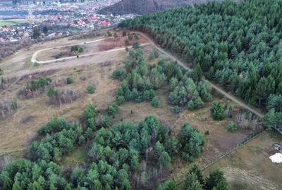 Comision 0%! Teren Sacele / Strada Valea Larga 2000 mp - 3