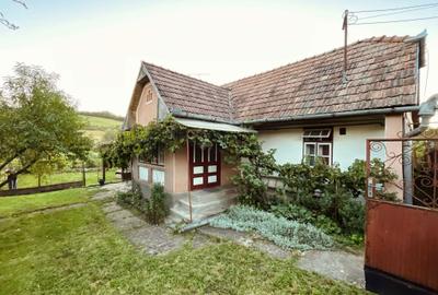 Casă cu 2 camere în Păsăreni - 4